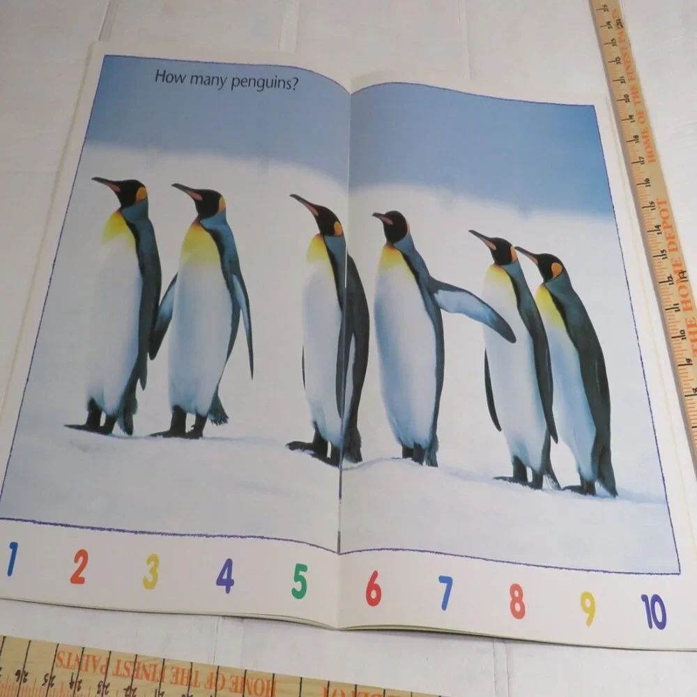 How Many BIG BOOK (almost 2 feet tall) with teacher pages CLASSROOM SIZE